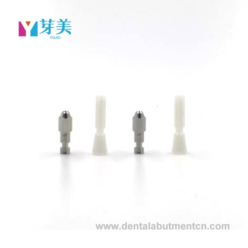 Implant Abutment